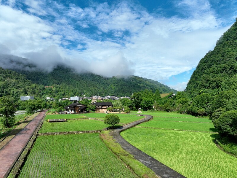 Dragon Boat Festival Check-in at Huanglong Cave: Pastoral Scenery Enchants Visitors (Photo Gallery)