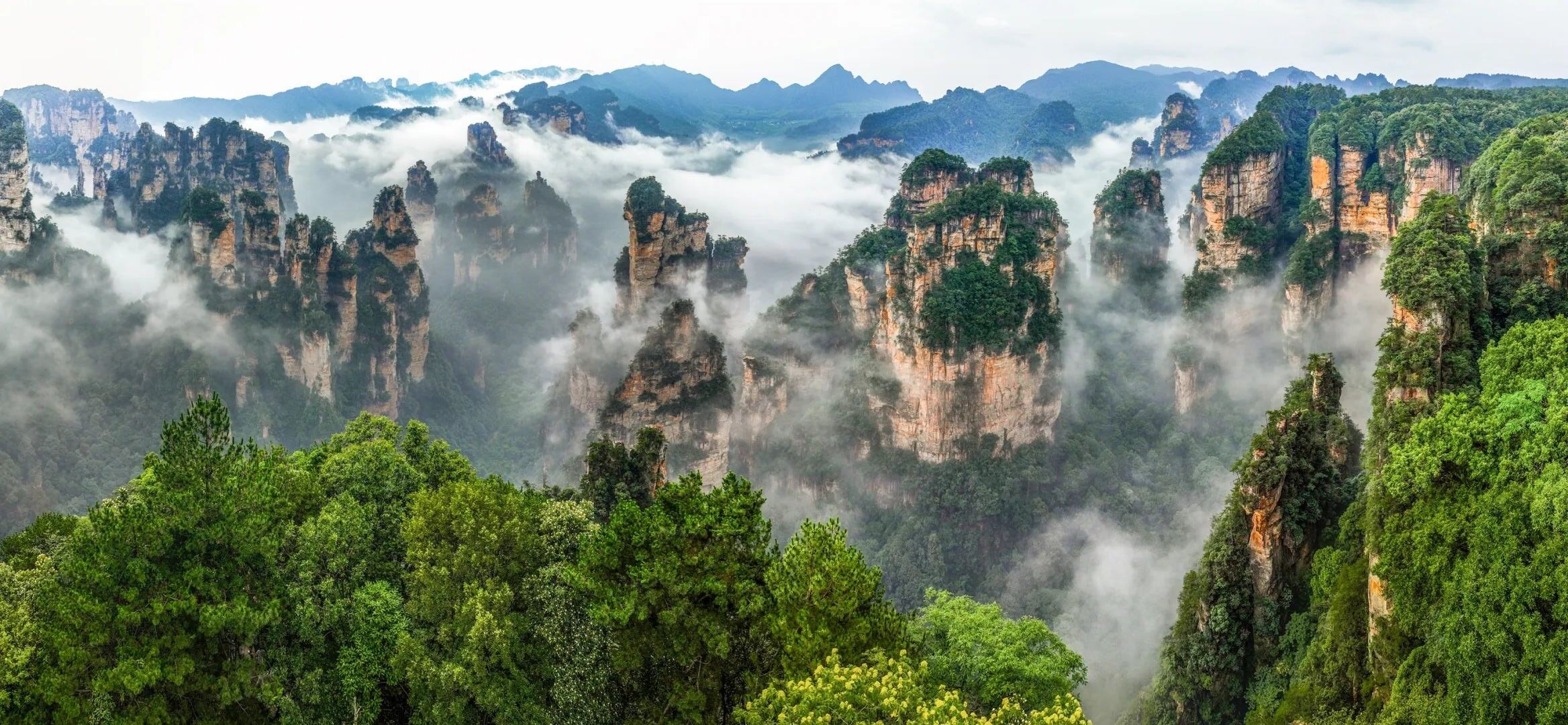 In-depth travel