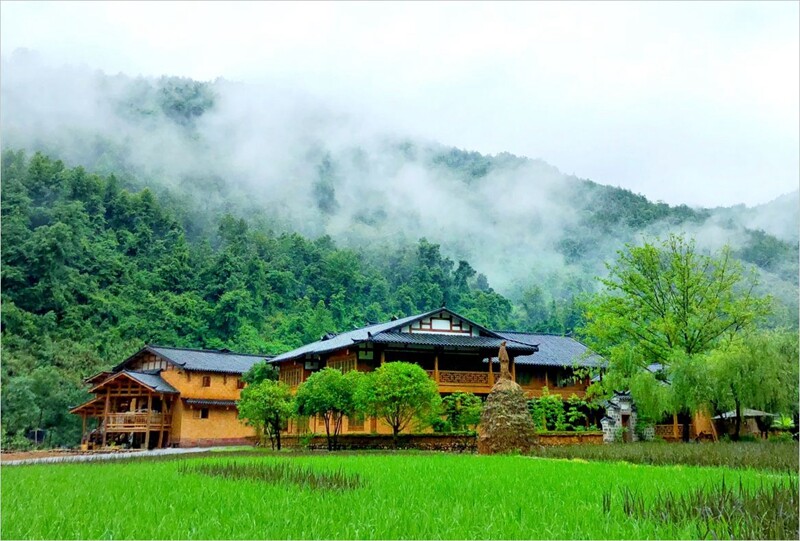 Dragon House