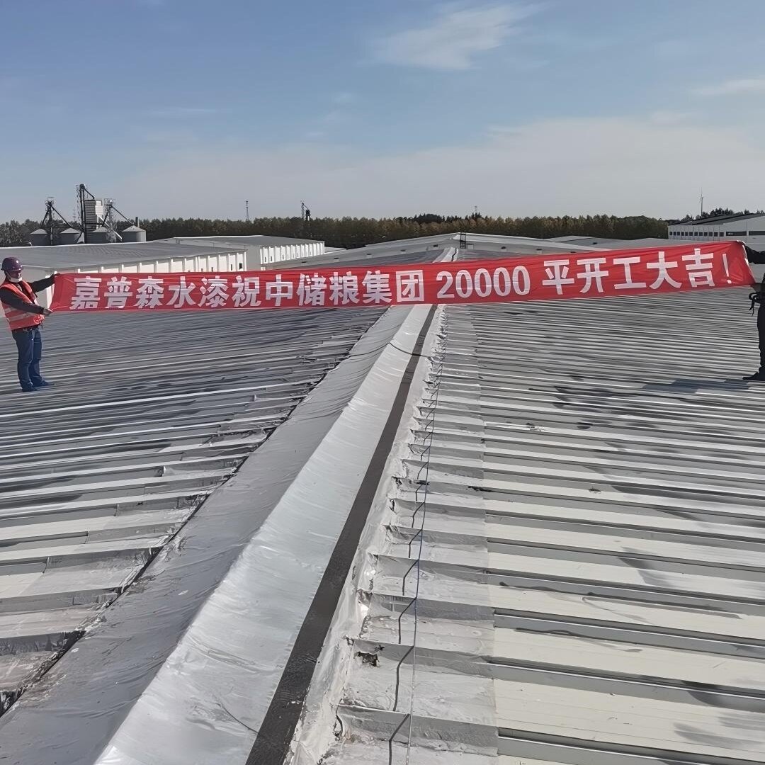中储粮集团20000㎡彩钢瓦翻新