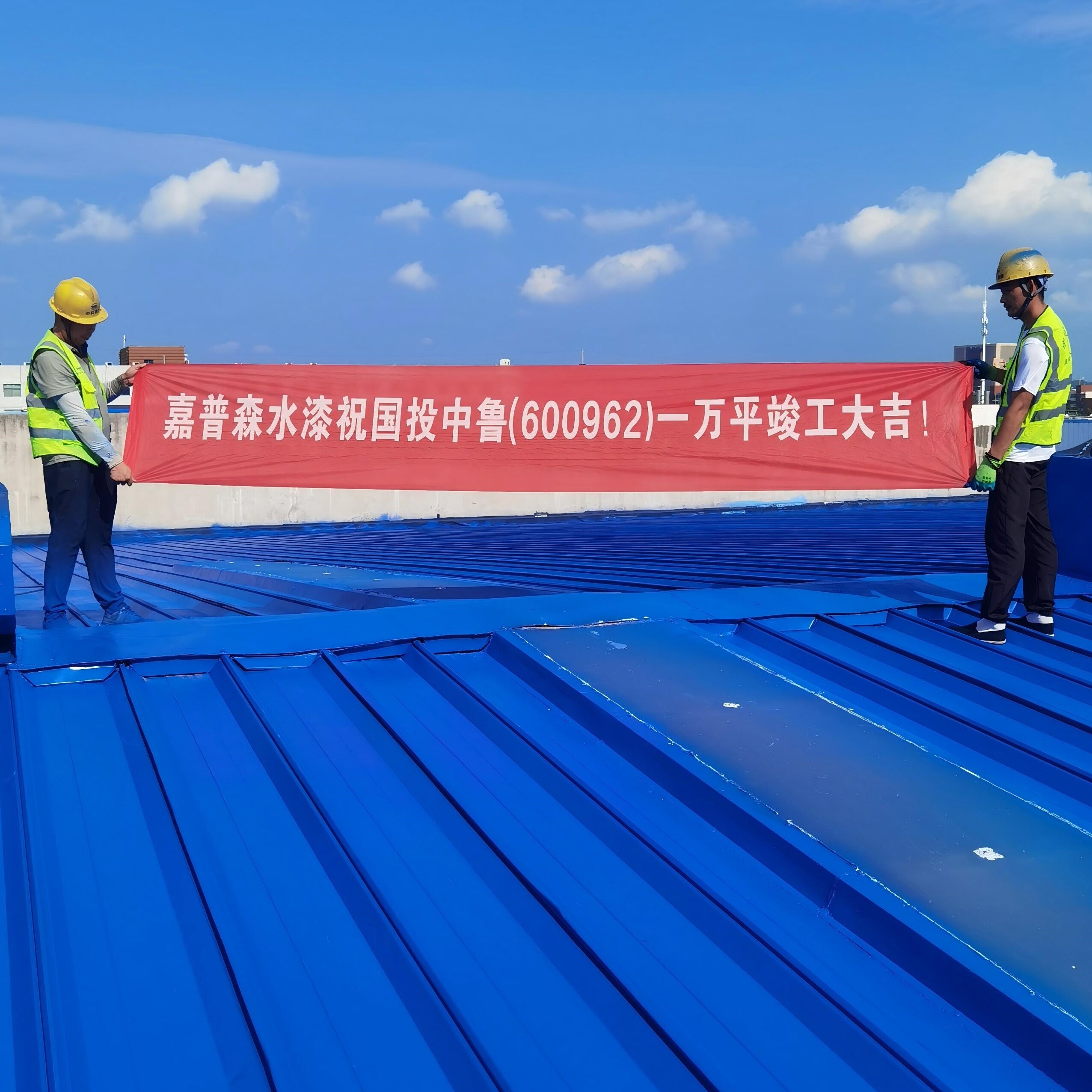 国投中鲁（600962）10000㎡彩钢瓦竣工