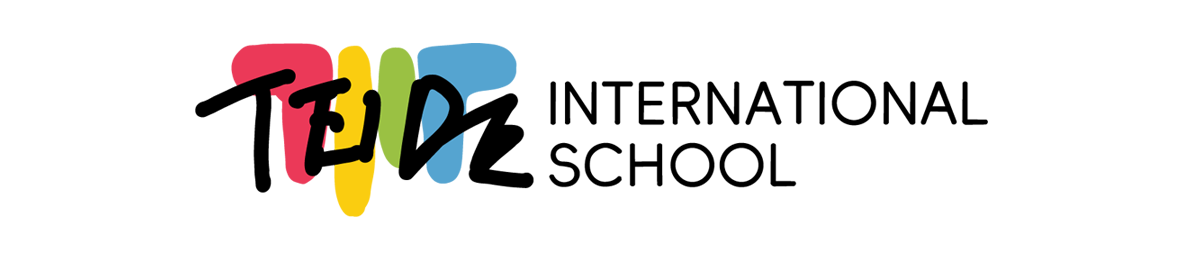 Ted International High School of Arts Logo