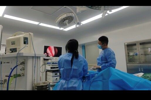善润医疗鼻中隔固定夹完成动物实验验证
