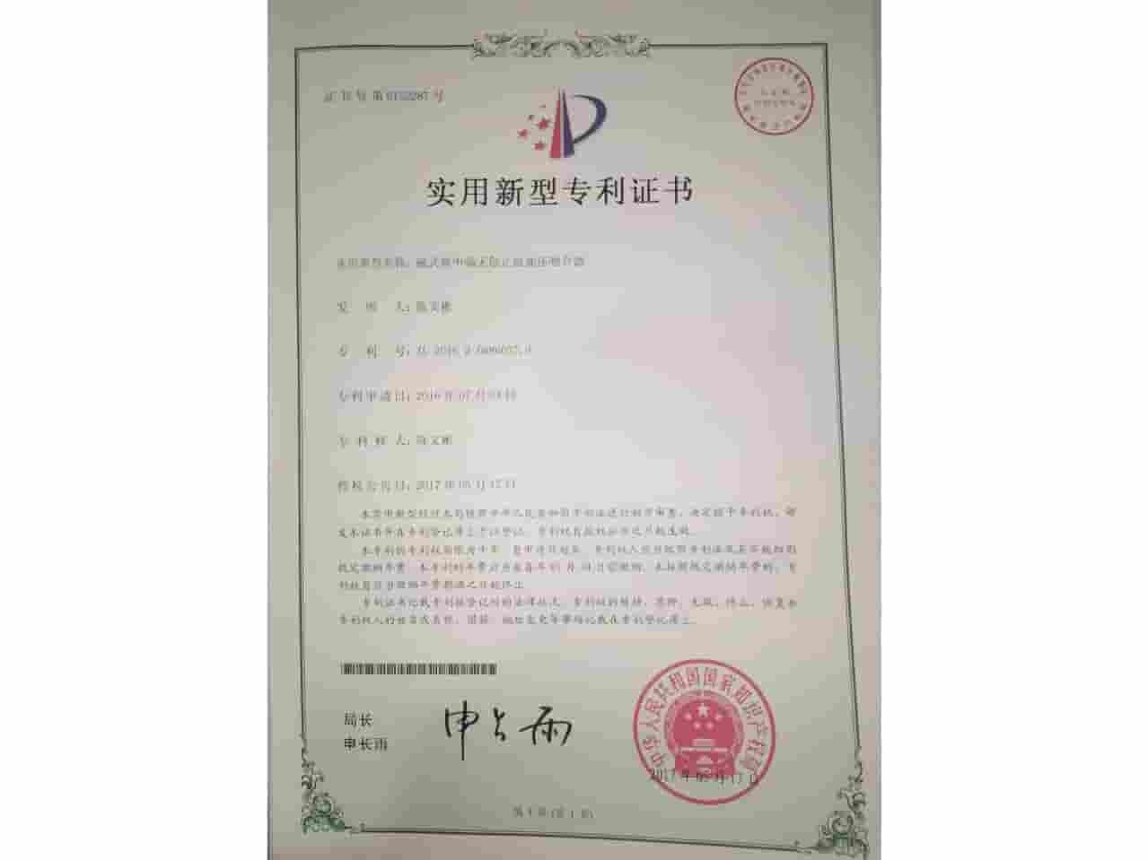 一种弹性鼻中隔固定装置
