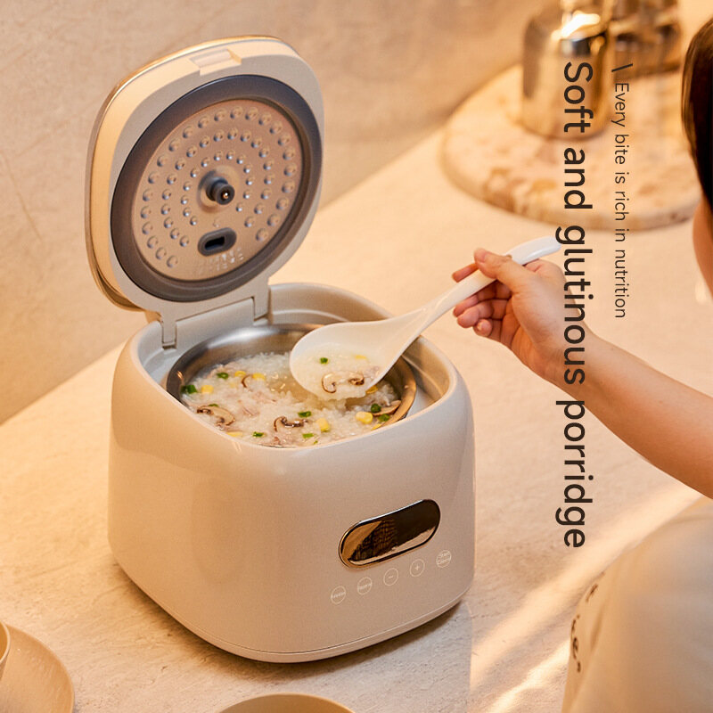 Mini Rice Cooker 2.5L 4