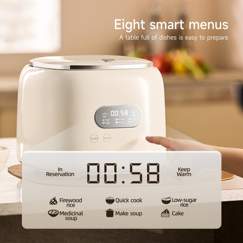 Mini Rice Cooker 2.5L 2