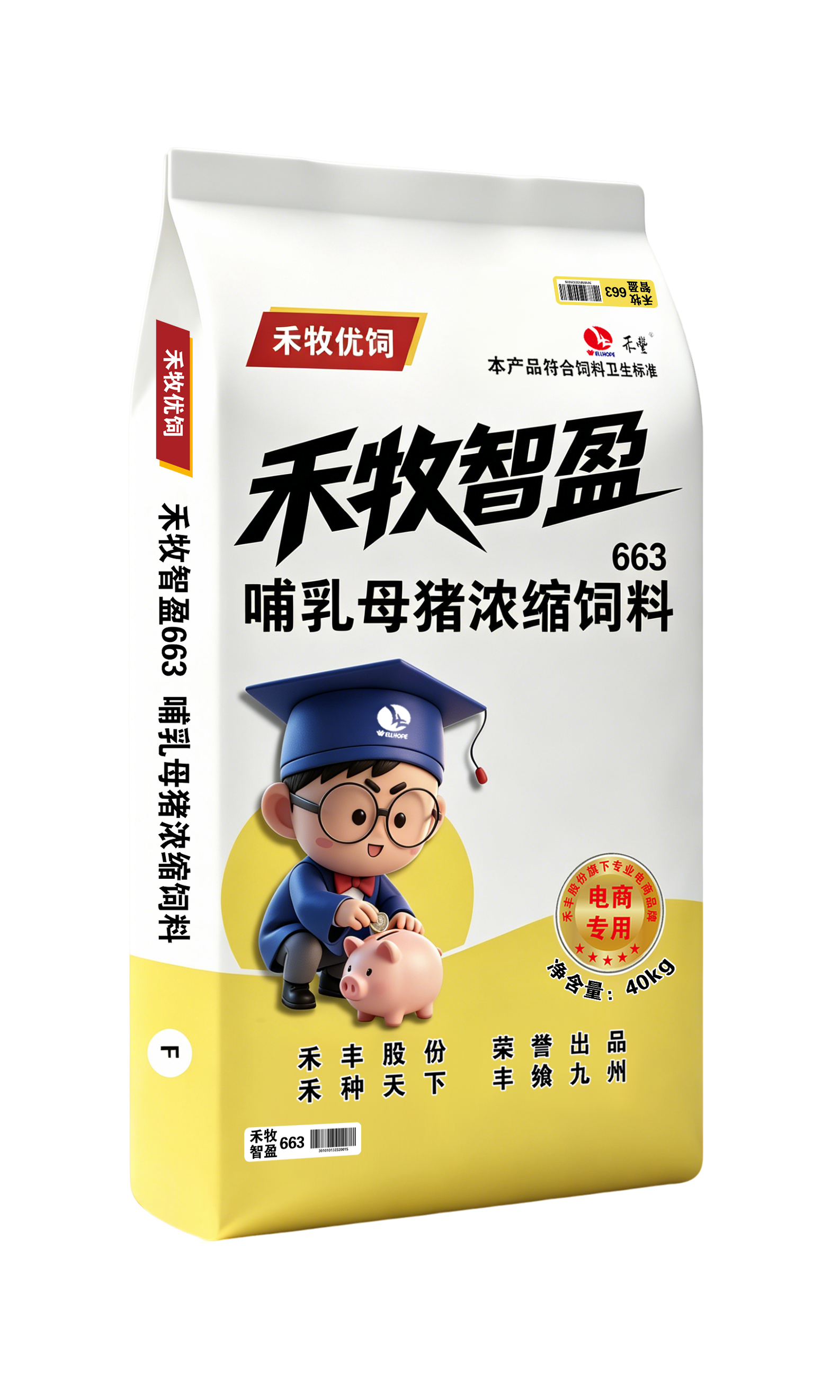 智盈 663