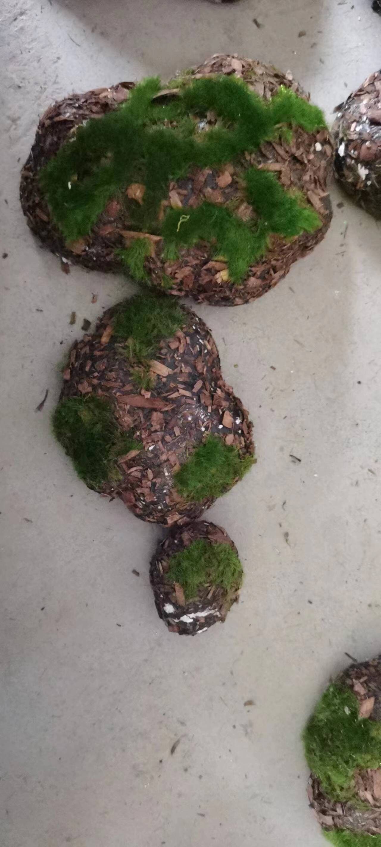 新款人造石青苔S