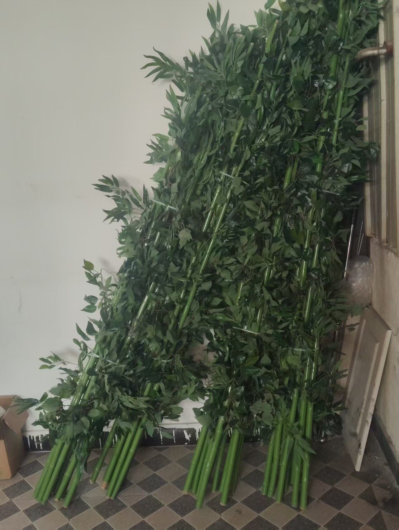 绿色竹竿S