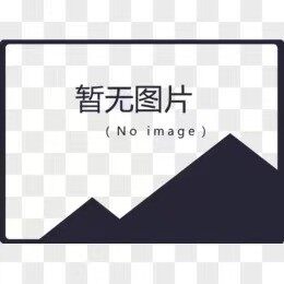 罗马柱S
