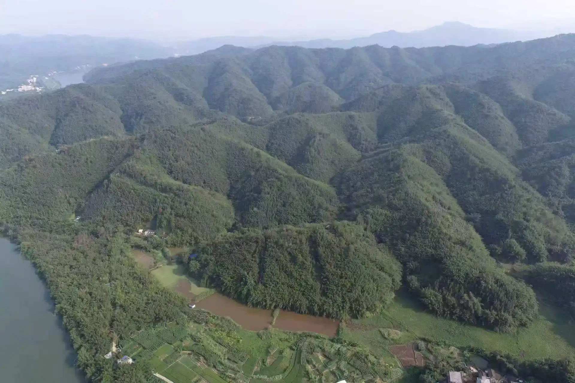 广东乡村梯田与村落周边林地景象
