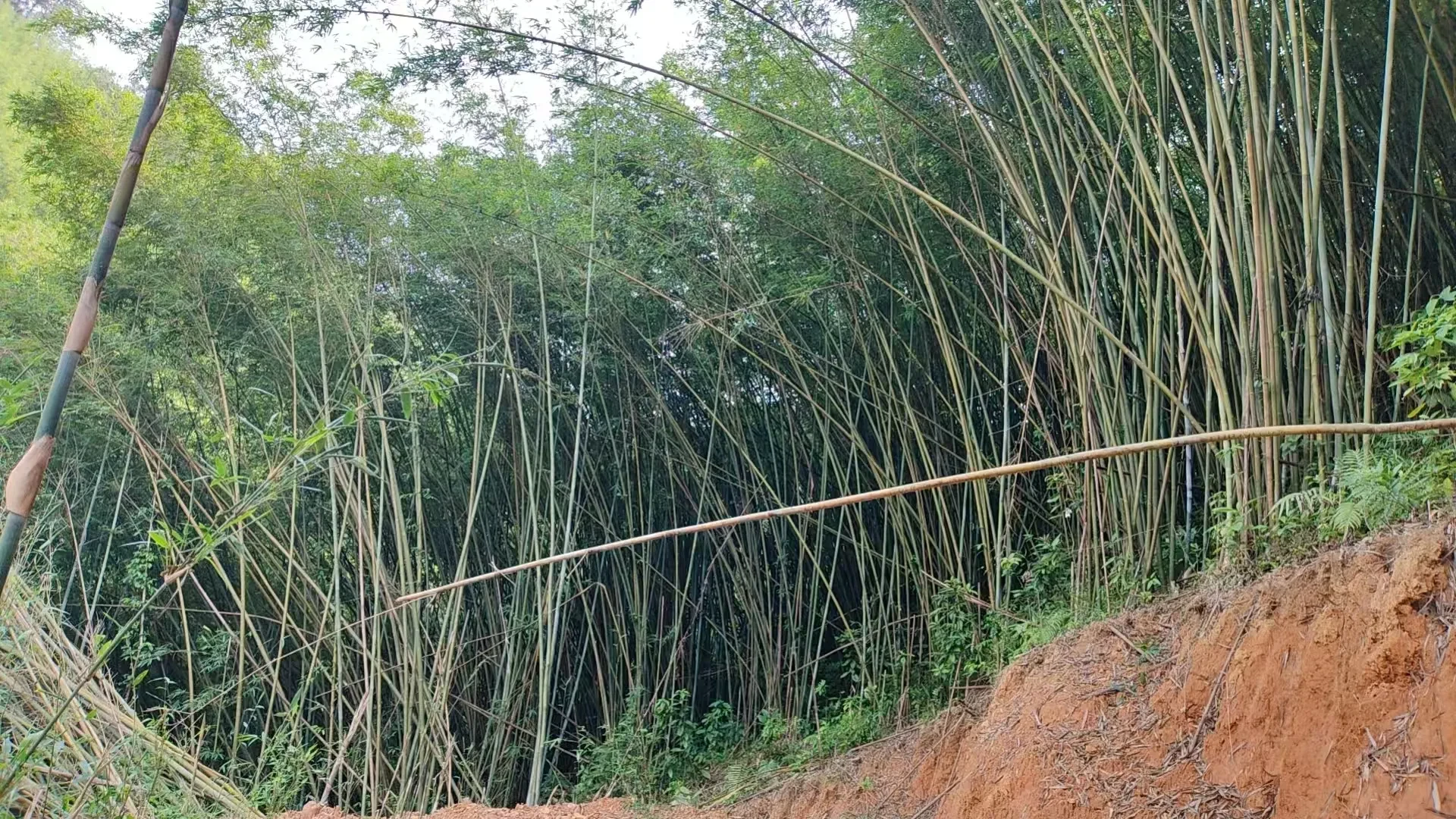 桌面上的本地特产预包装礼盒