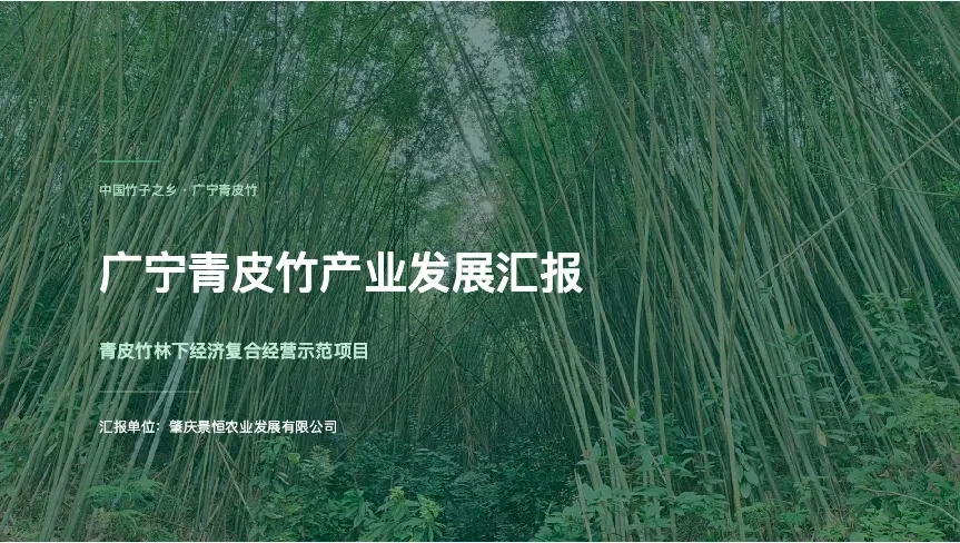 竹林中穿过竹丛的步道