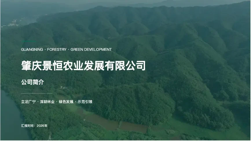 晨雾中的肇庆竹山与成片竹林