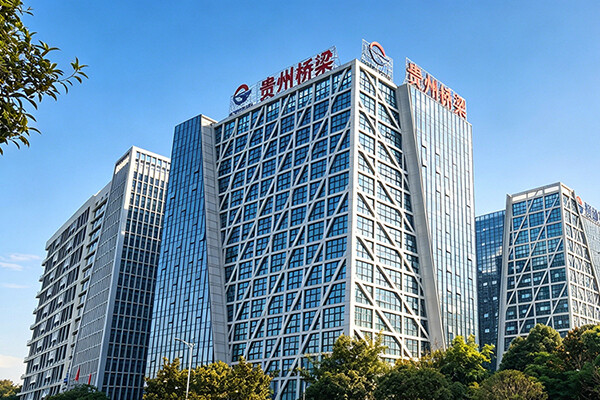 贵州桥梁建设集团有限责任公司项目管理系统