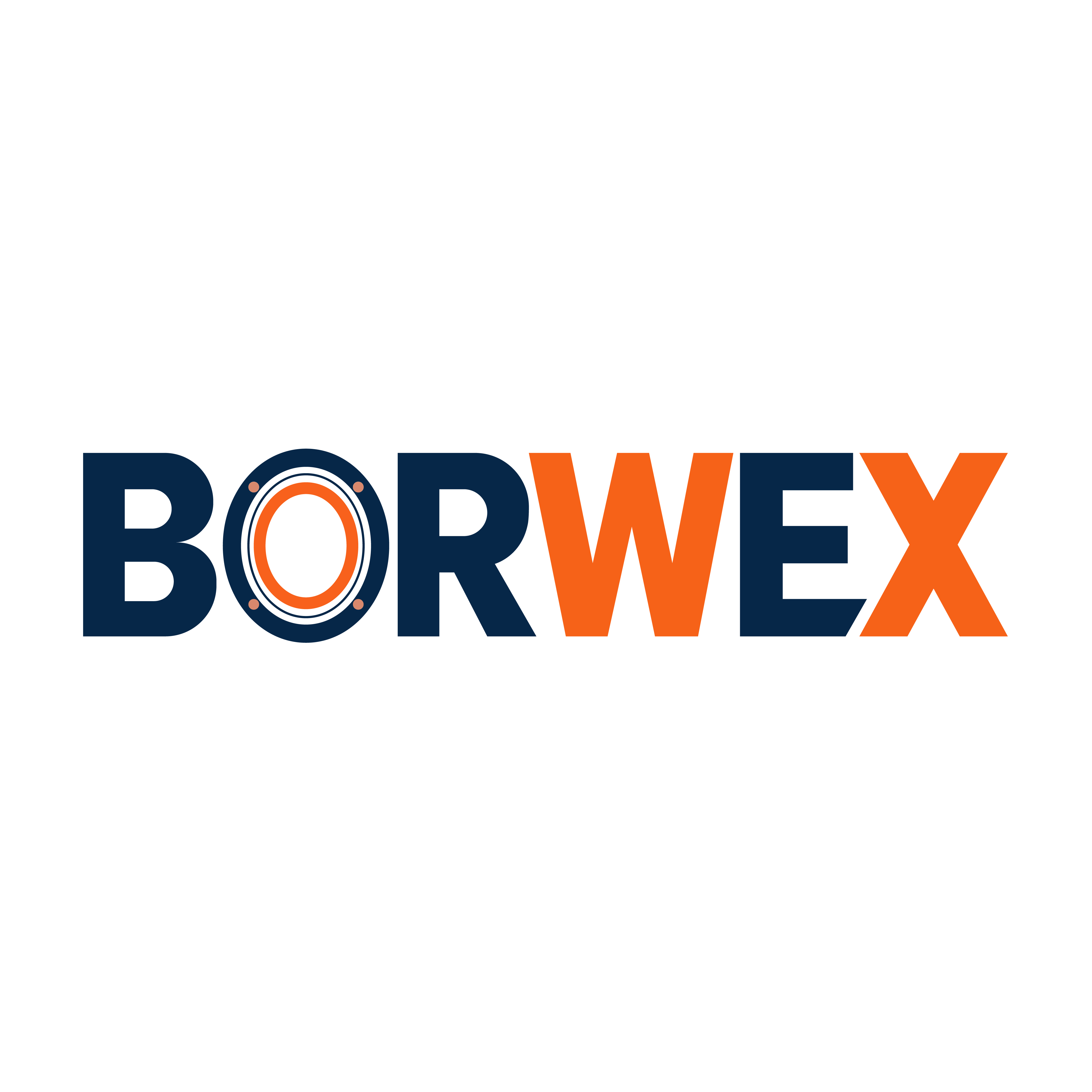 BORWEX Brand Logo