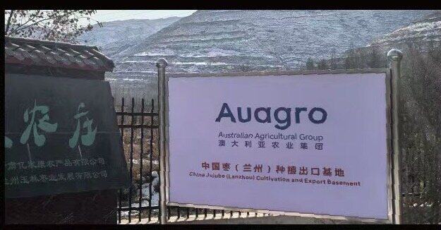 China Jujube (Lanzhou, Gansu) Planting and Export Base