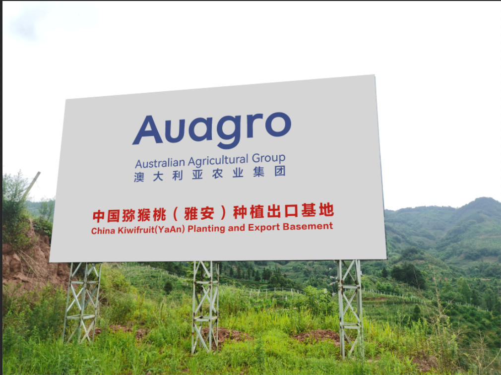 China (Ya'an) Kiwi Planting and Export Base