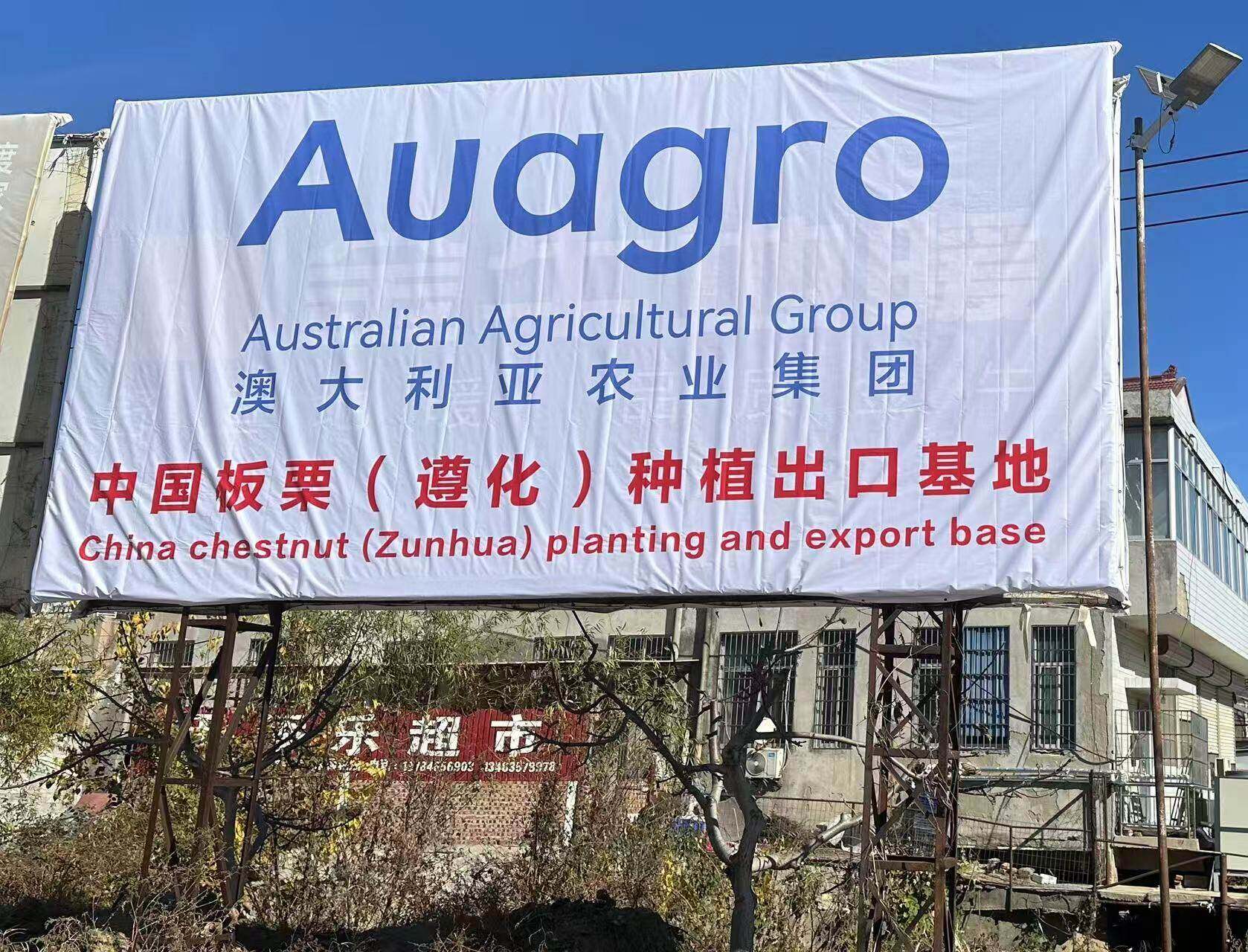 China Chestnut (Zunhua) Planting and Export Base