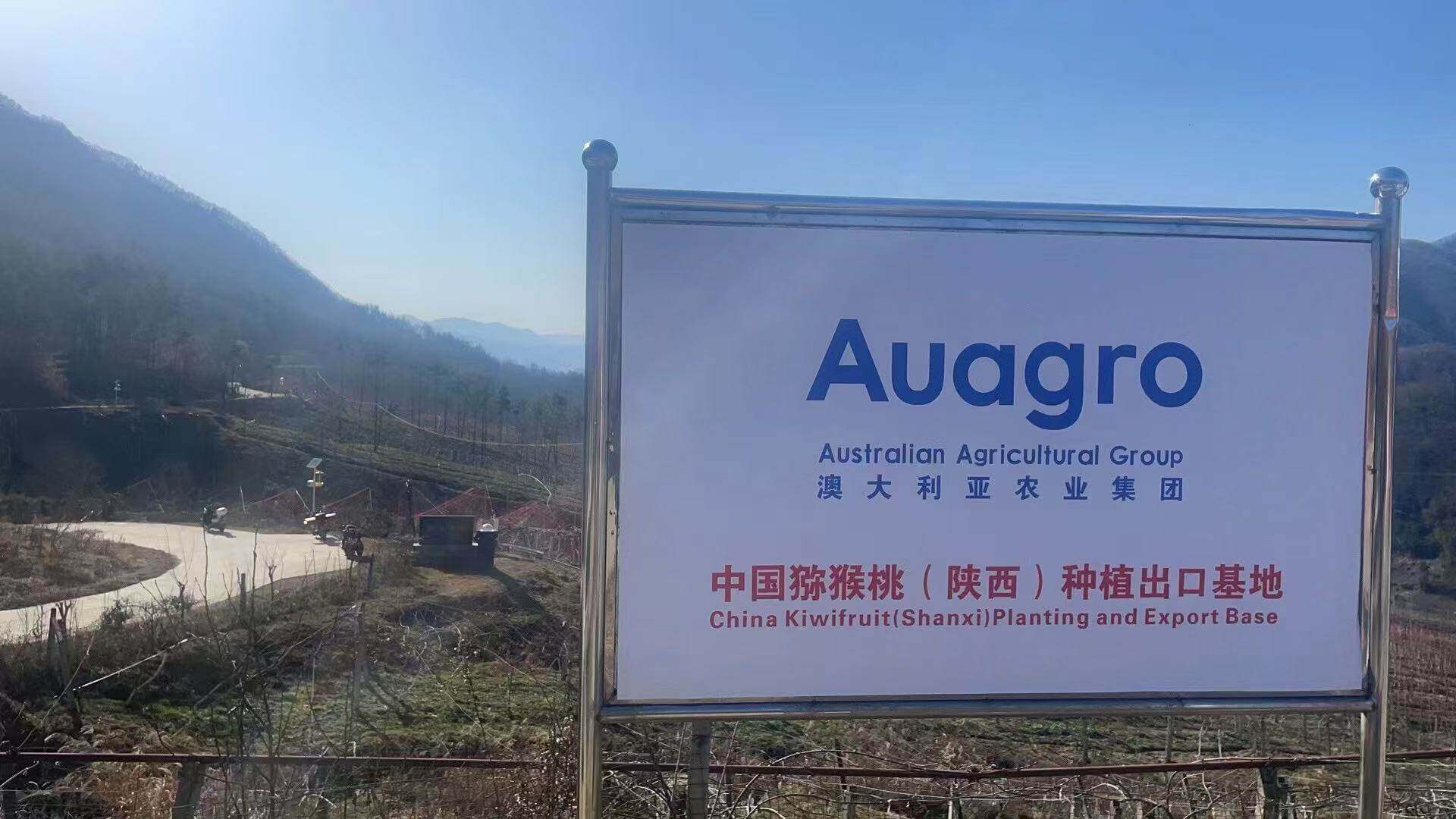 China Kiwifruit (Lan'gao, Shaanxi) Cultivation and Export Base