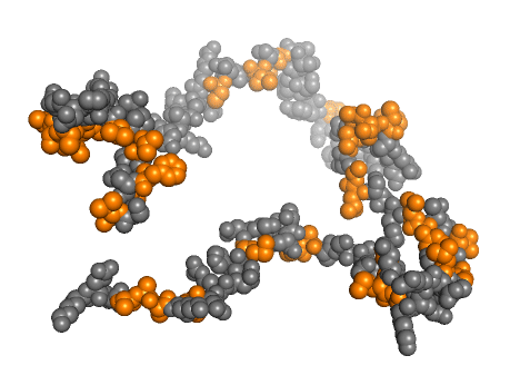 Protein Conformation Structure
