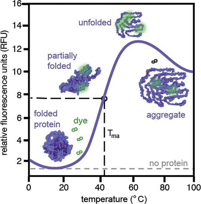 DSF Experiment Plot