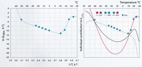 Arrhenius type plot of ln(kobs) for mAb B