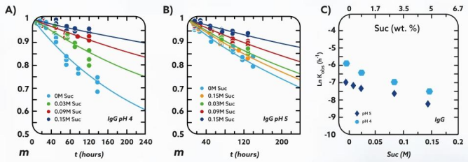 Monomer loss kinetics under isochoric conditions