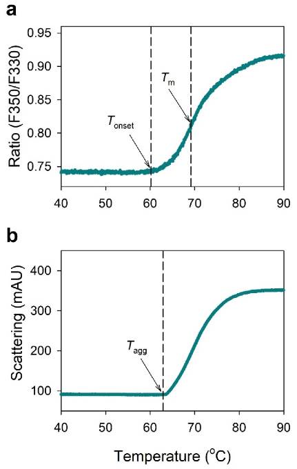 nanoDSF thermogram and light scattering thermogram