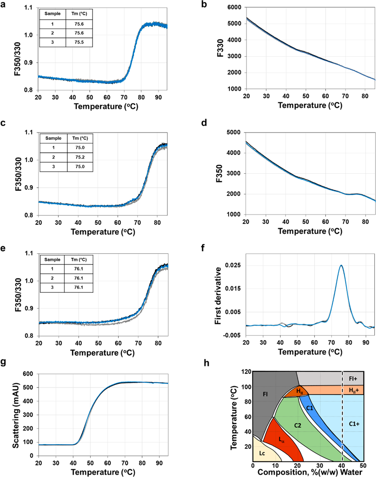 DSF and light scattering thermograms