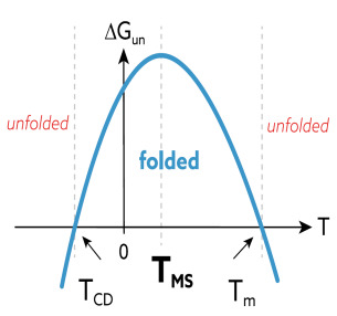 Gibbs free energy of unfolding vs temperature