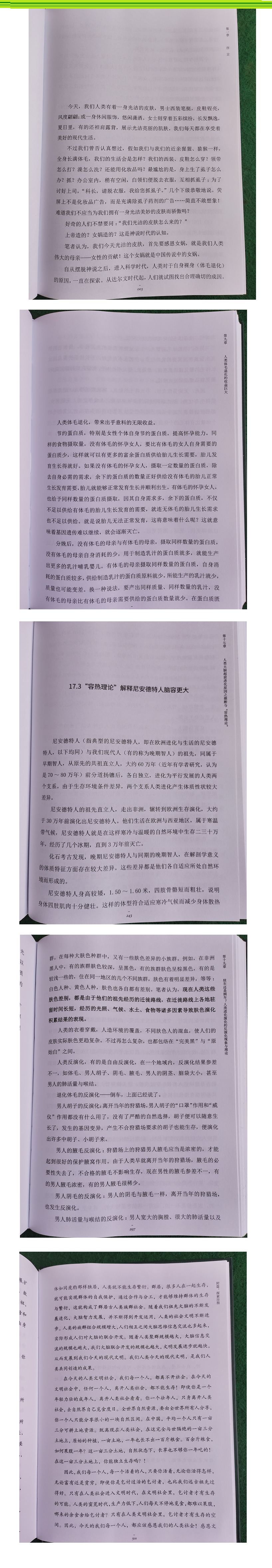 章节选读