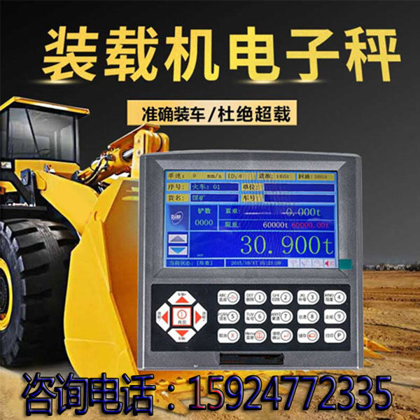 Loader Scale - Image 4