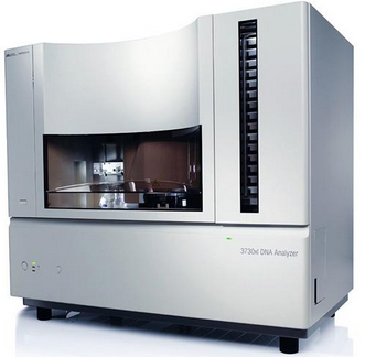 3730xl DNA Analyzer