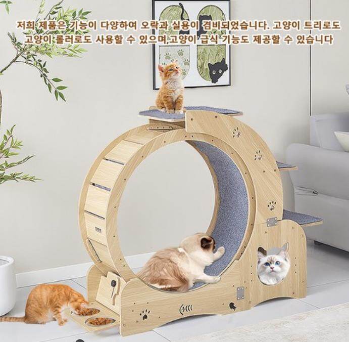 Cat Walk