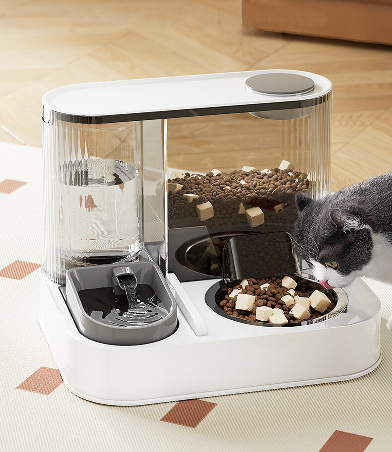 Water dispenser & feeder