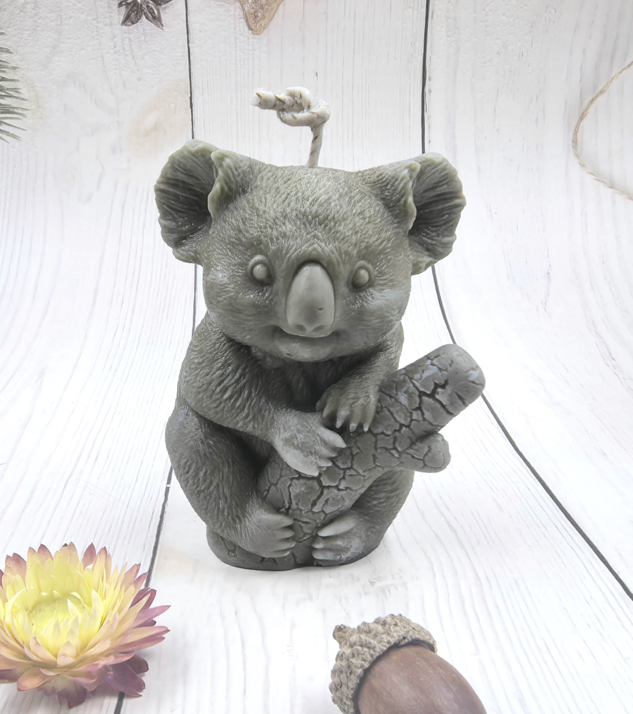 Bear-BE0001