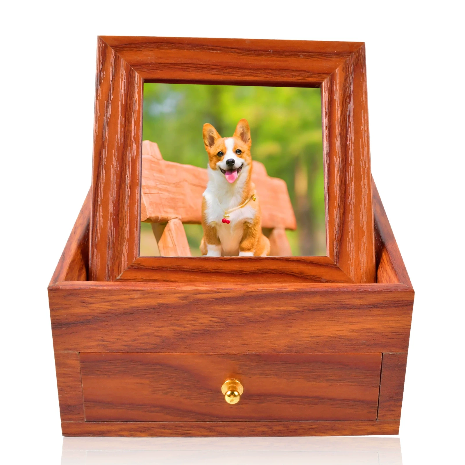 Cat cremation urn