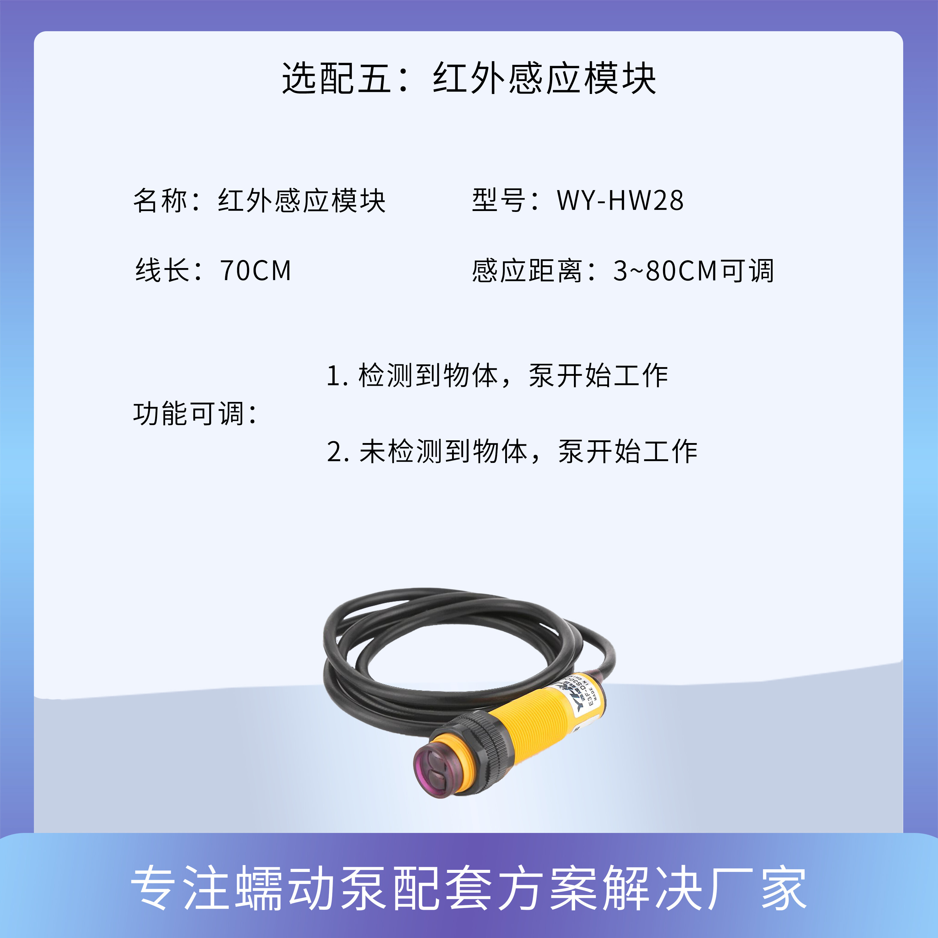 传动皮带