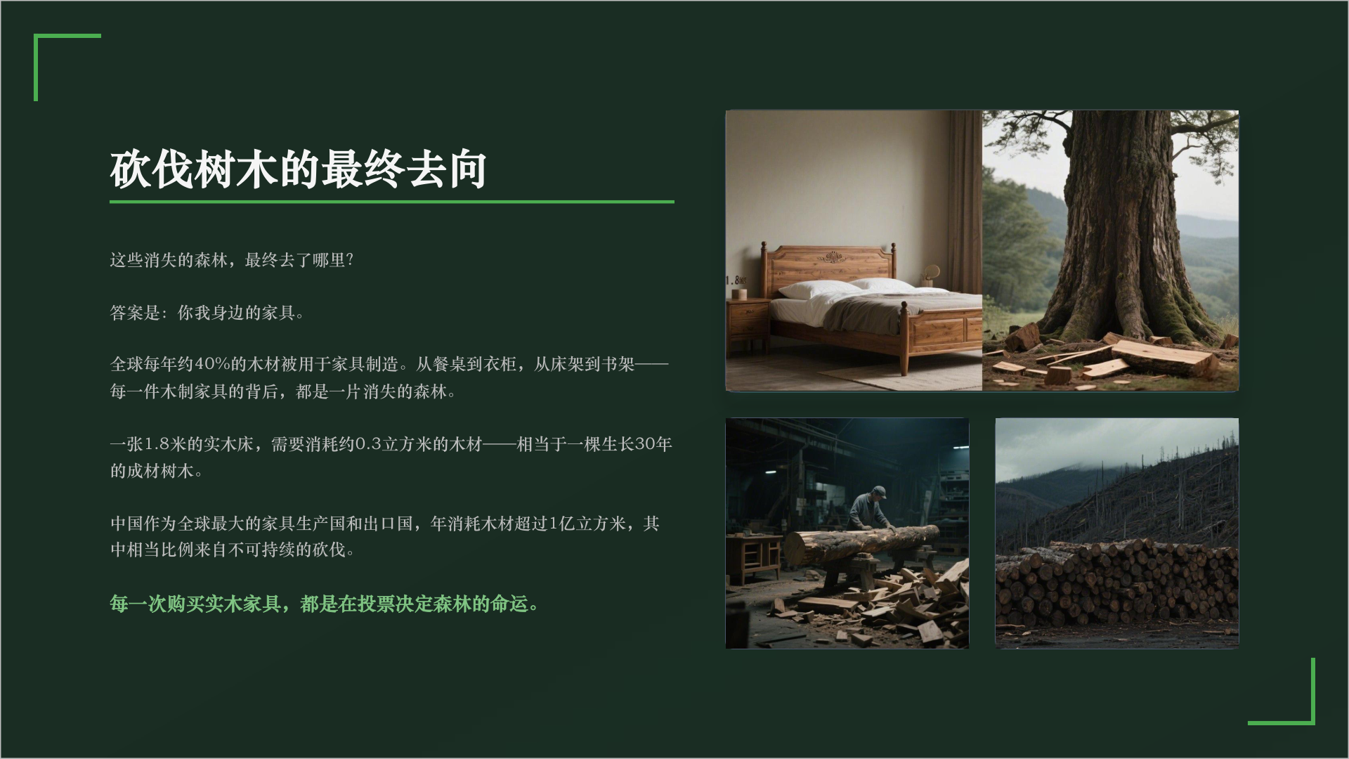 砍伐树木的最终去向