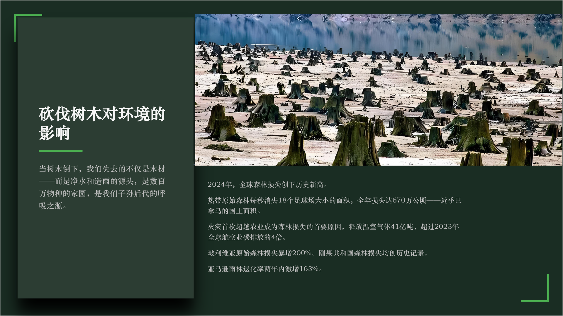砍伐树木对环境的影响