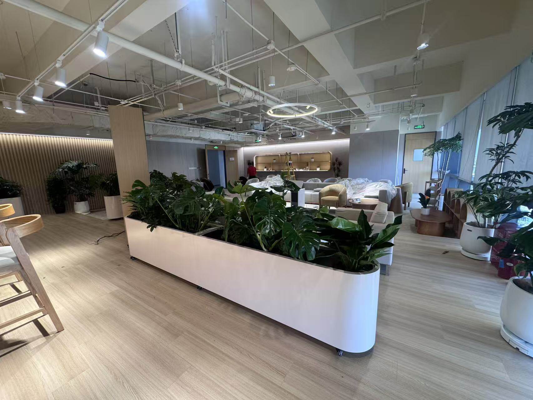 Commercial Center Renovation Project