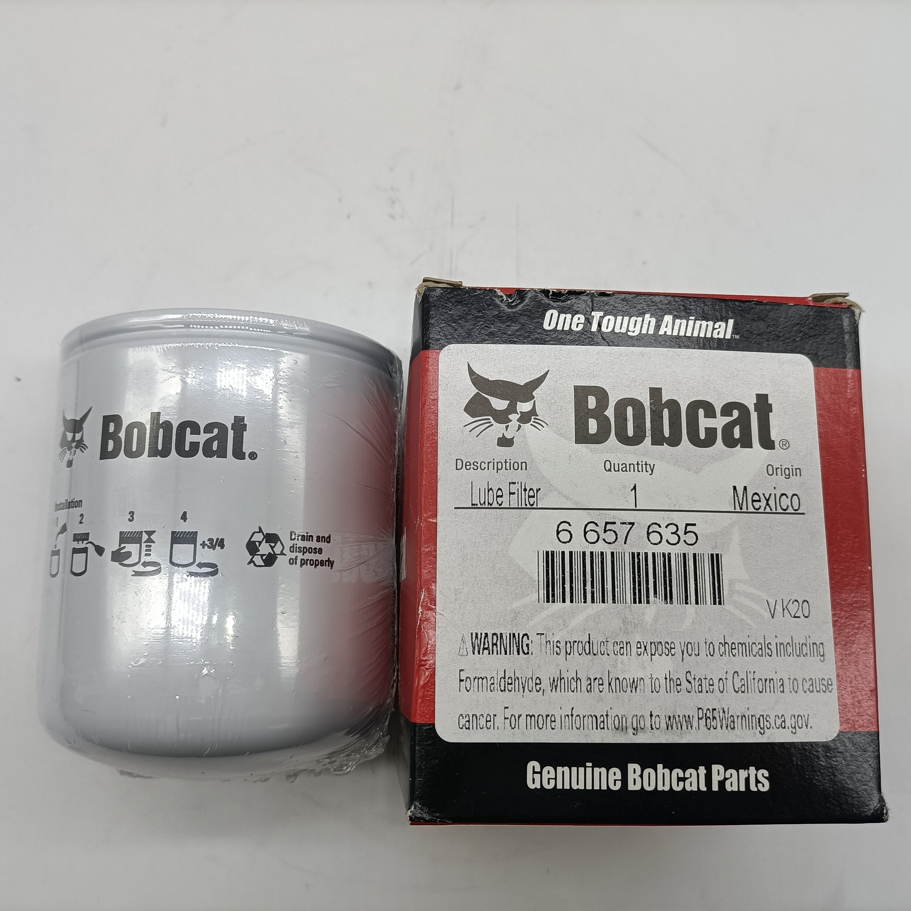 Bobcat