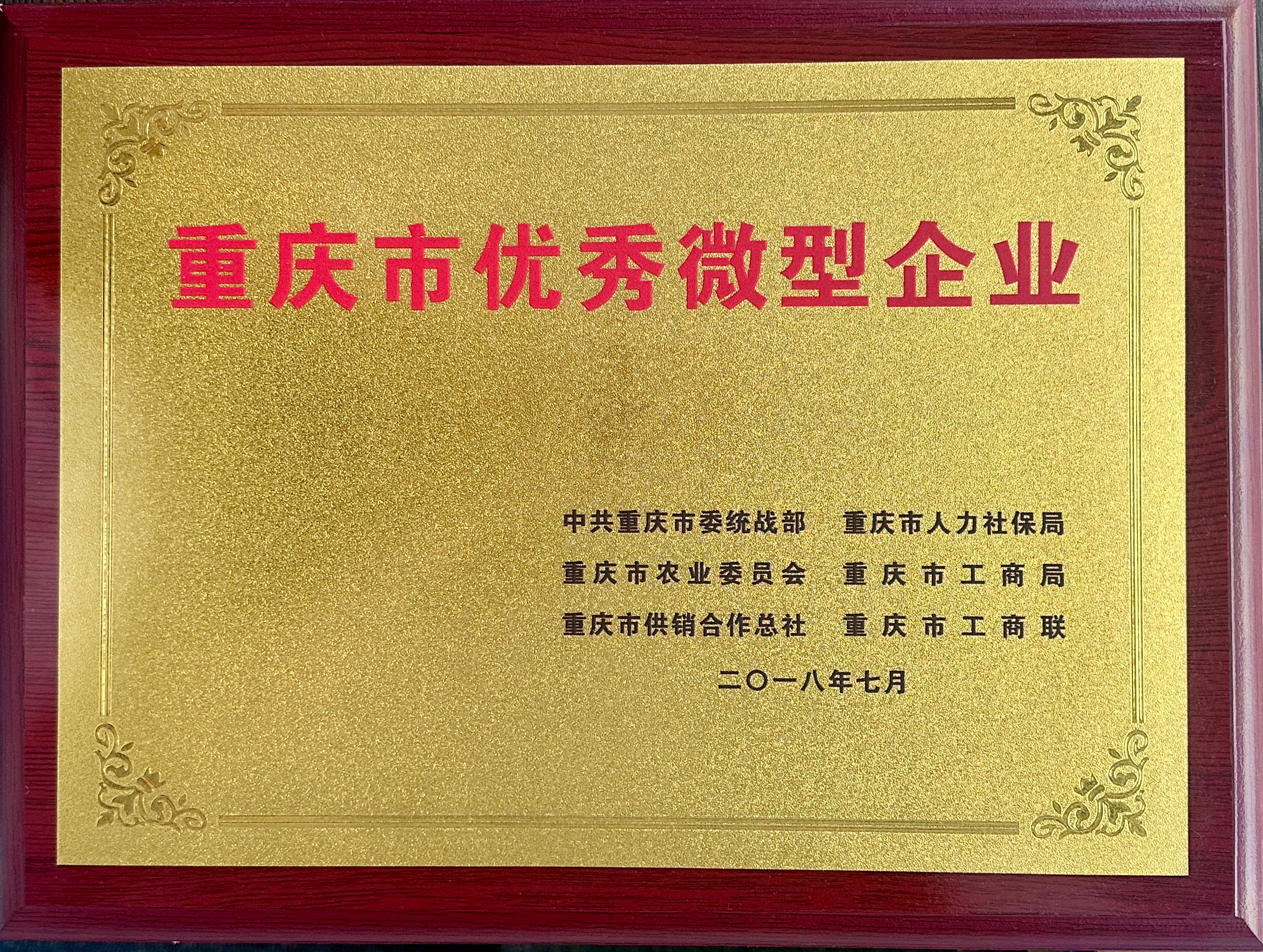 重庆市优秀微型企业