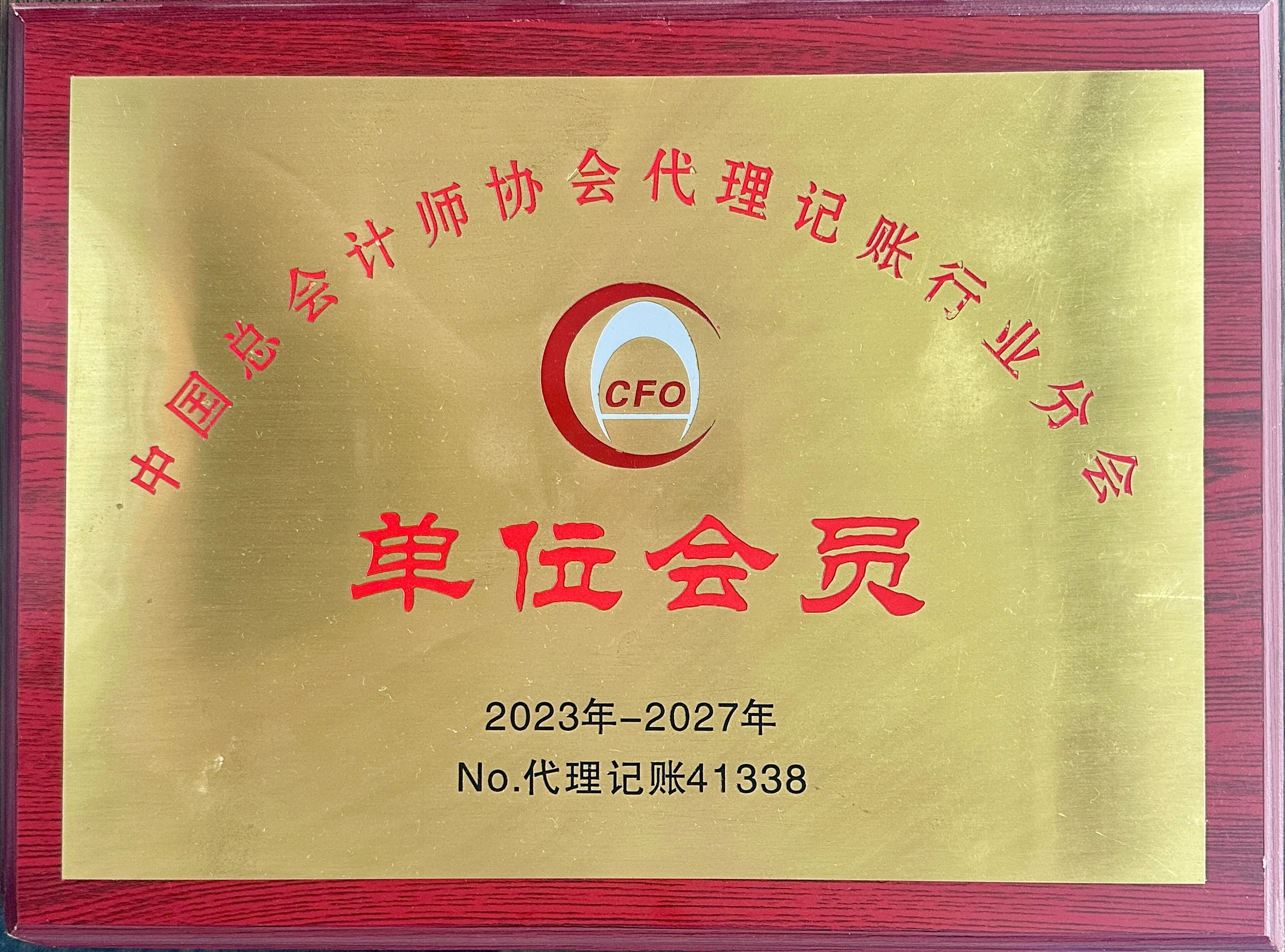 中国总会计师协会单位会员