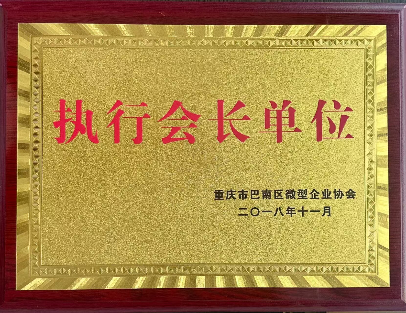 执行会长单位