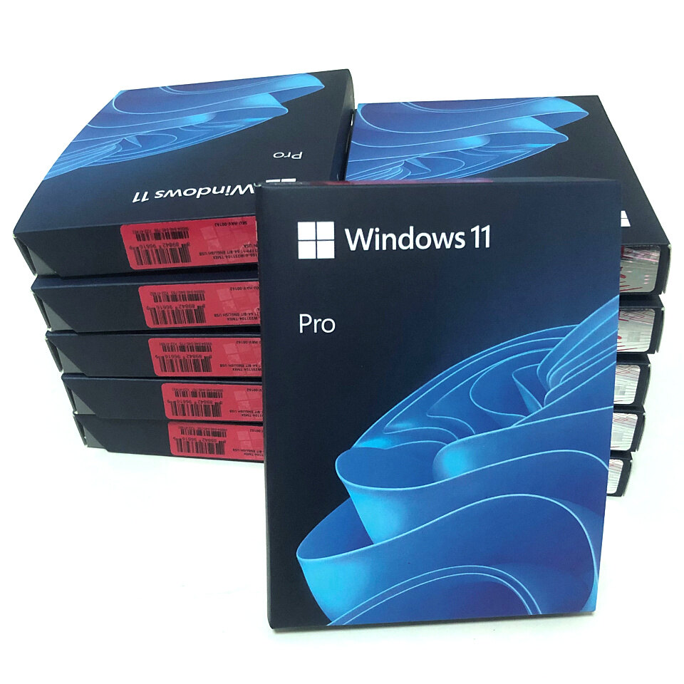 Windows 11 Peo USB 4