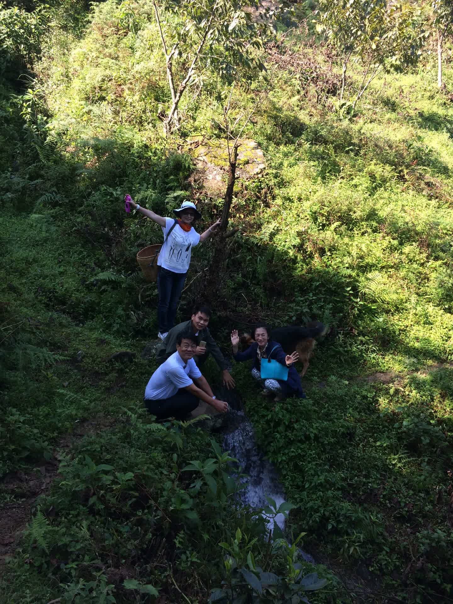 Tea Mountain Trail