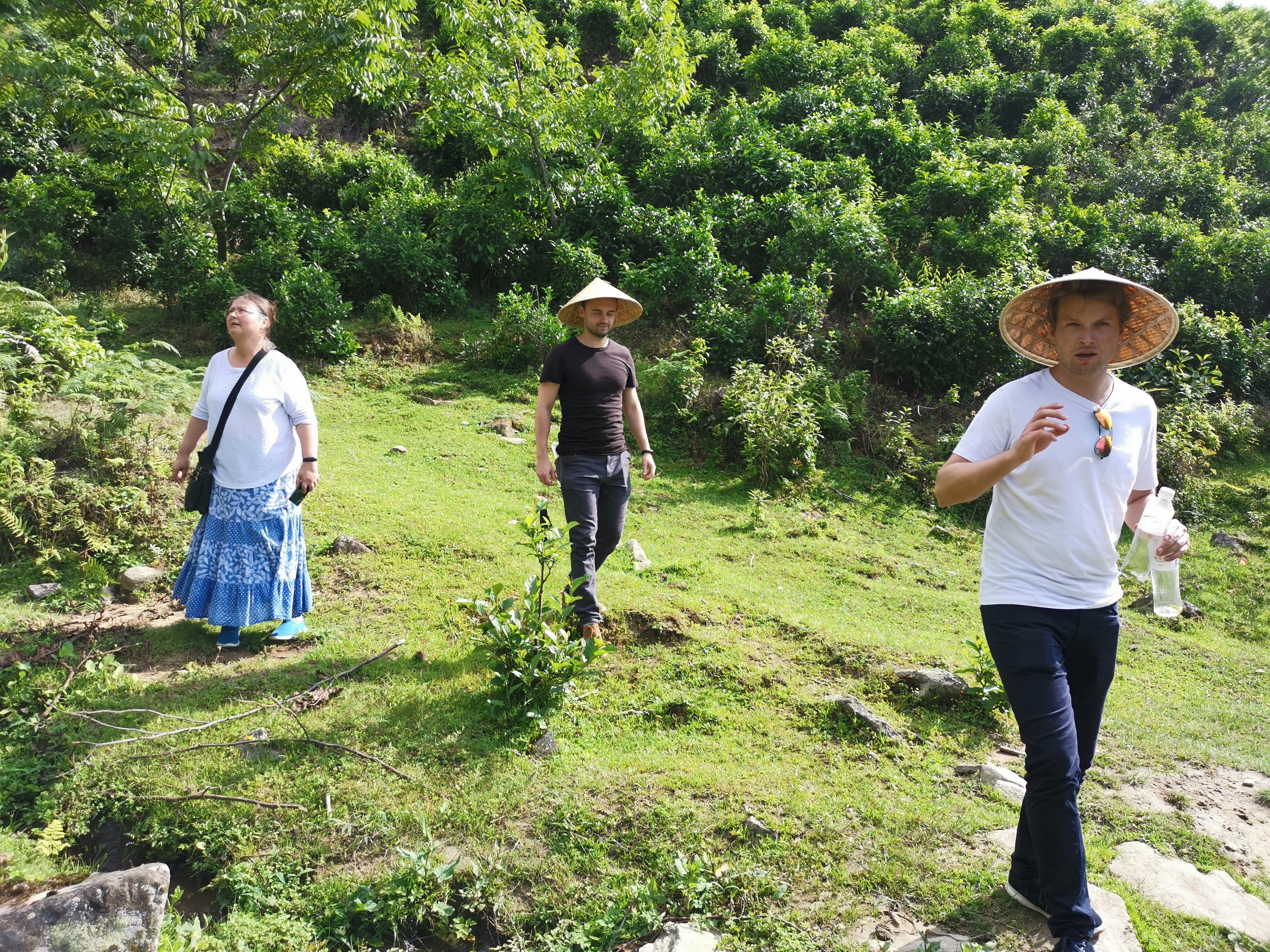 Tea and Tourism Integrated Experience