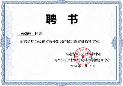 Fujian Provincial Overseas Intellectual Property Dispute Response Expert